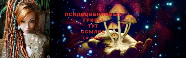 бутират Пролетарск